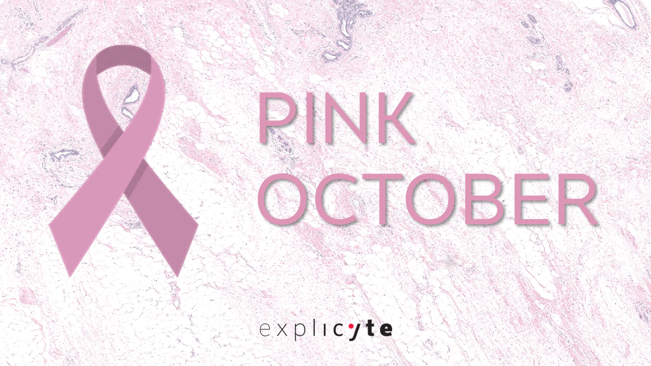 Check out  Its our favorite image for Pink October this year!