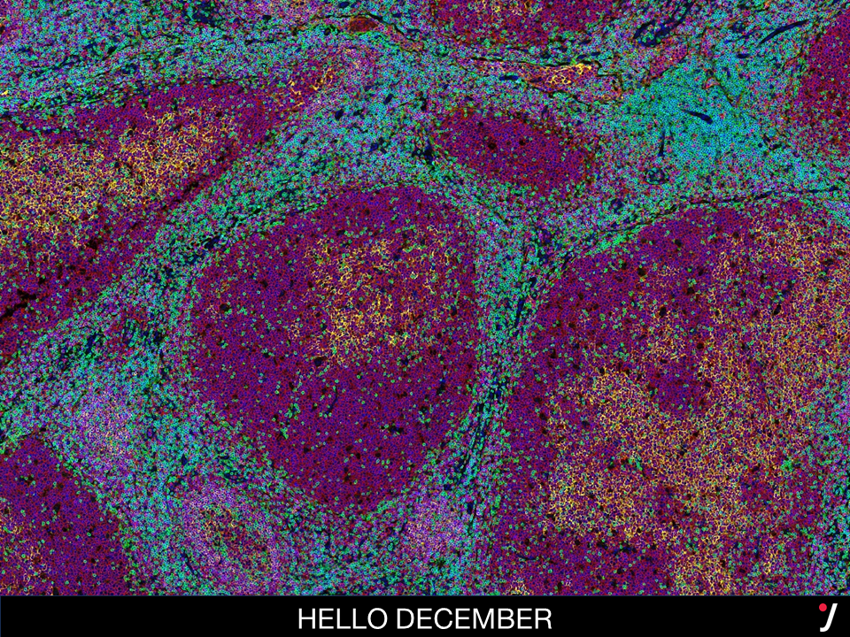 Check out  Its our favorite image to welcome December!