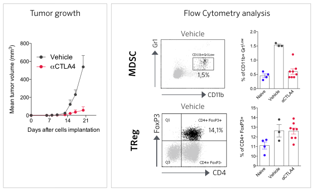 Anti-CTLA-4 Response In Mouse Tumor Syngeneic Models