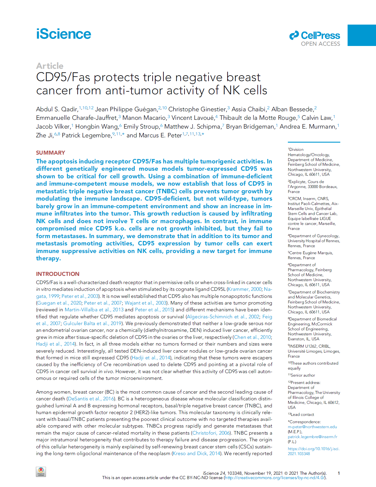 CD95/Fas protects triple negative breast cancer from anti-tumor activity of NK cells
