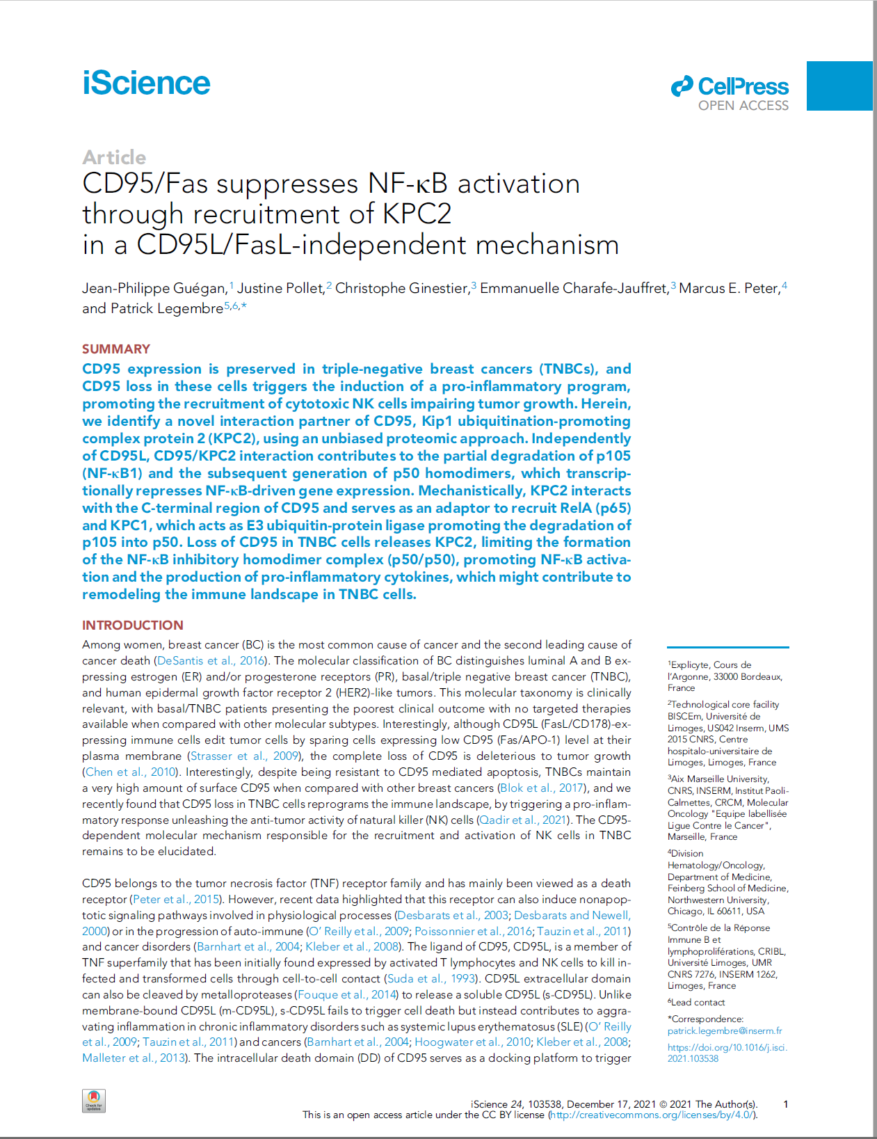 CD95/Fas suppresses NF-kB activation through recruitment of KPC2 in a CD95L/FasL-independent mechanism