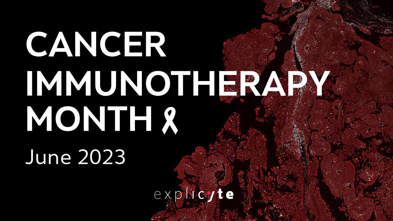 June is Cancer Immunotherapy Awareness Month
