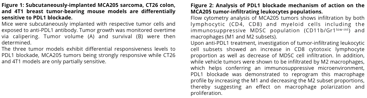 Combination of in vivo monitoring and flow cytometry-based immunoprofiling on syngeneic tumor models