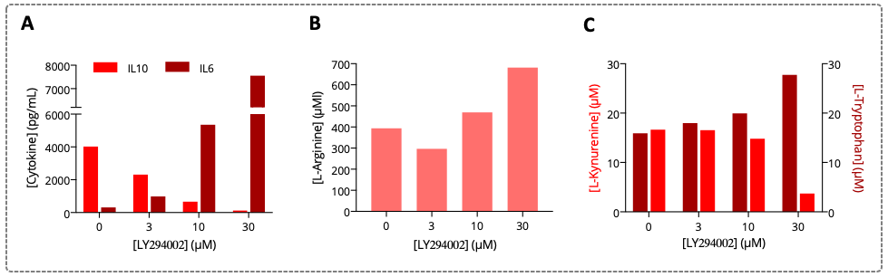 M2 macrophage phenotype and its mediated metabolic activities are modulated by p38 MAPK inhibition. (A) HTRF-based quantification of IL6 and IL10 levels released in the supernatants of M2 macrophages, either untreated  or treated with the p38 MAPK inhibitor during their polarization. ELISA-based quantification of (B) L-Arginine, (C) L-Kynurenine and L-Tryptophan levels in the supernatants M2 macrophages that underwent treatment with a p38 MAPK inhibitor during their polarization (using ARG IS-I-0400, KYN BA-E-2200 and TRP BA-E-2700 Immusmol ELISA kits respectively).