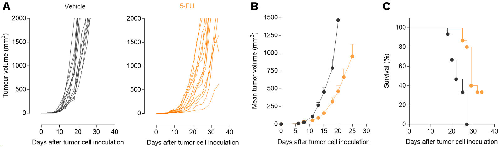 5FU exerts anti-tumor activity in a CT26 mouse colon cancer model