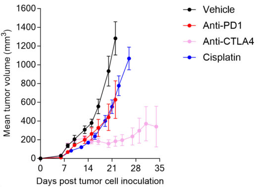 EMT6 syngeneic in vivo model breat cancer immune checkpoint inhibitors ICI PD1 PD-L1 CTLA4