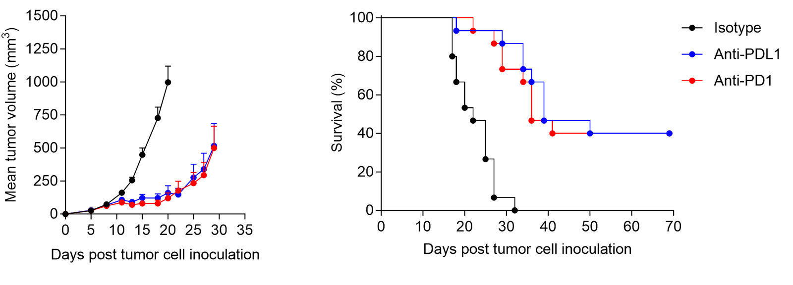 MC38 syngeneic tumor model CRO cancer immunotherapy