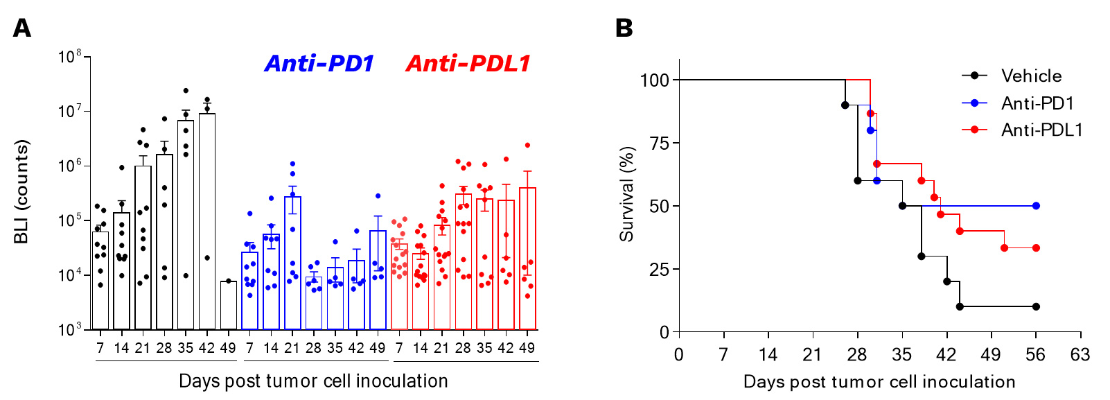 Orthotopic syngeneic GL261 glioblastoma model is responsive to PD1/PDL1 axis blockade