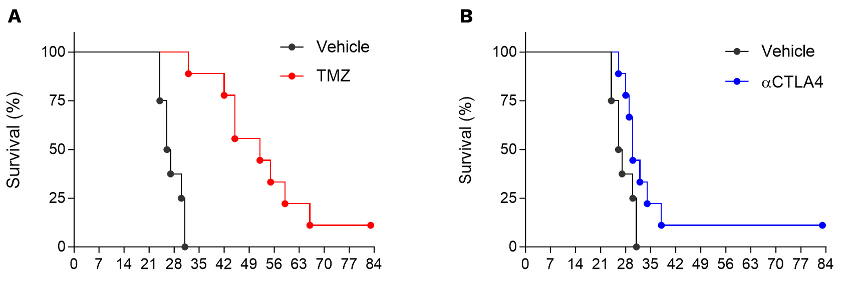 Orthotopic syngeneic GL261 glioblastoma model is strongly responsive to temozolomide (TMZ, A) and moderately to CTLA4 blockade (B).