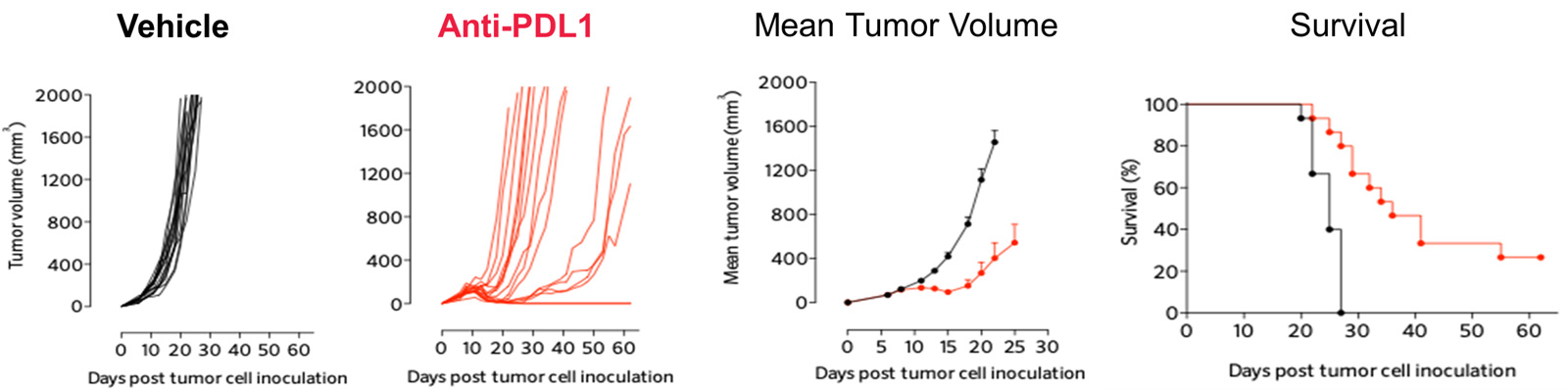 PDL1 inhibition triggers significant anti-tumor response in the MCA205 sarcoma model