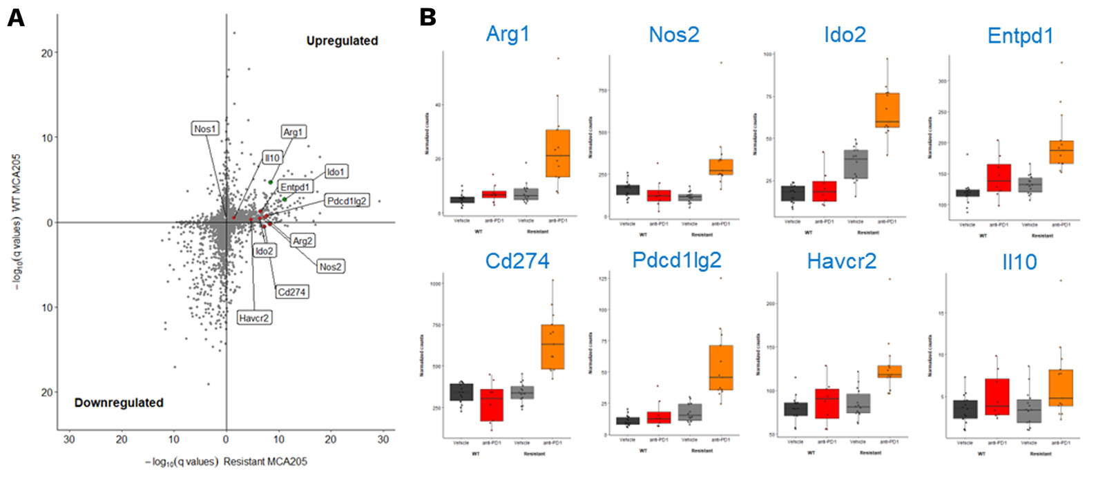 RNA sequencing of MCA205-S and PD1/PDL1 MCA205-R tumor biopsies collected under vehicle and PD1 blockade highlights key genes significantly upregulated upon PD1 inhibition in MCA205-R tumors