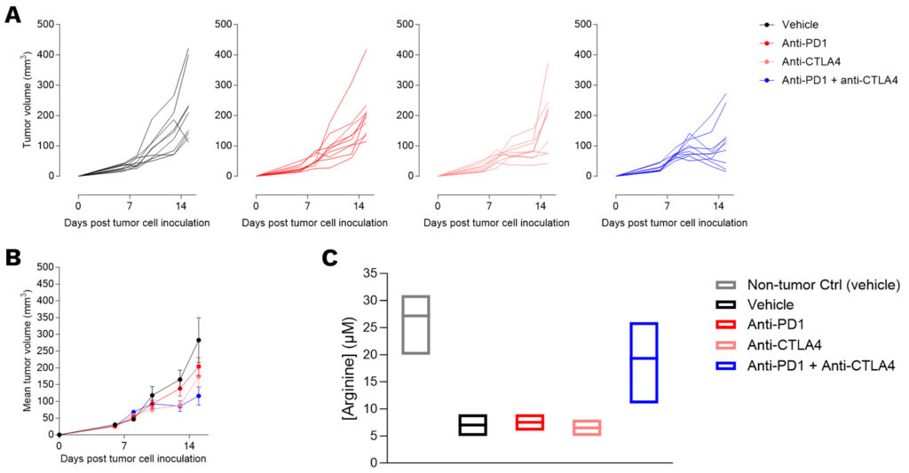 4T1 Syngeneic Breast Tumor Mouse Model I Preclinical CRO