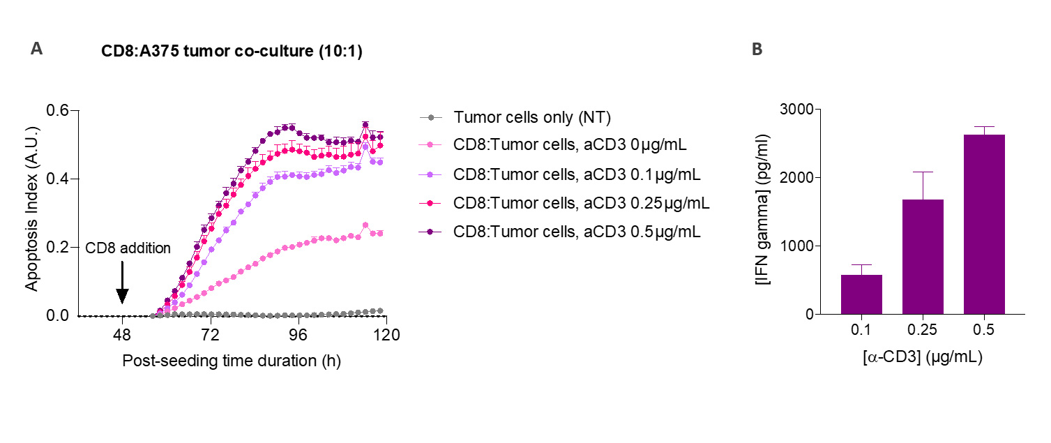T cell killing assay CRO in vitro screening CD8 T-A375 melanoma cells
