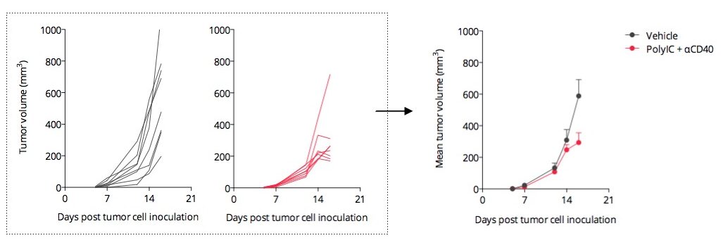 syngeneic tumor models immunization cancer vaccine efficacy in vivo CRO services