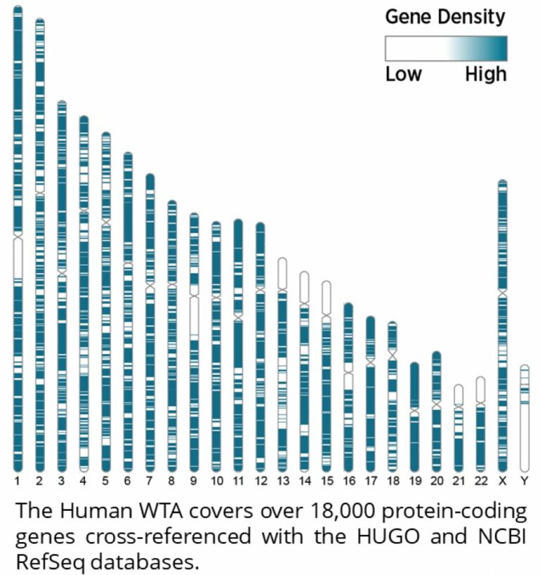 GeoMx Whole Transcriptome Atlas (WTA) - Explicyte Immuno-Oncology
