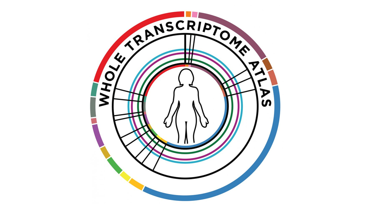 GeoMx Whole Transcriptome Atlas