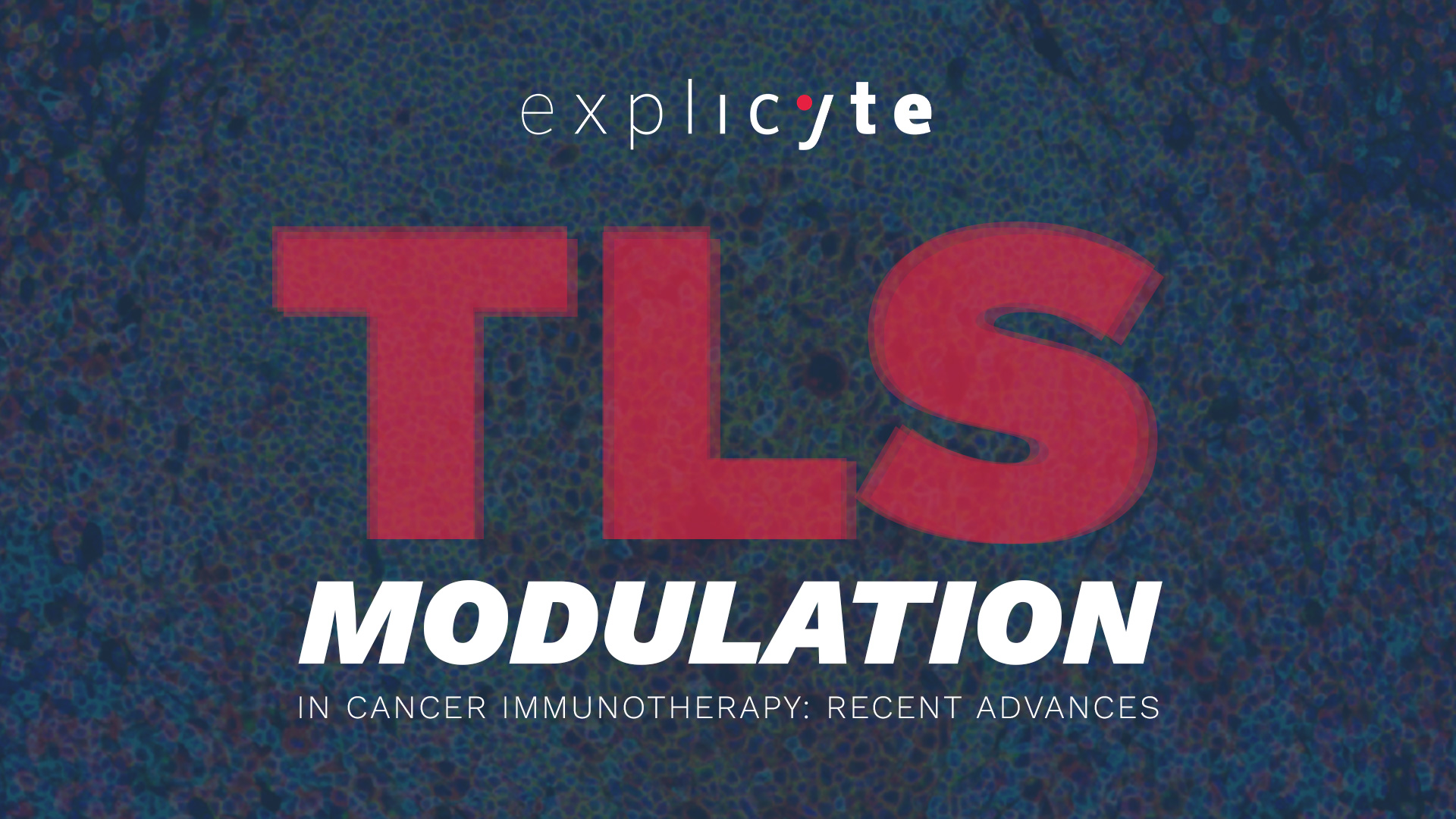 banner webinar TLS modulation explicyte