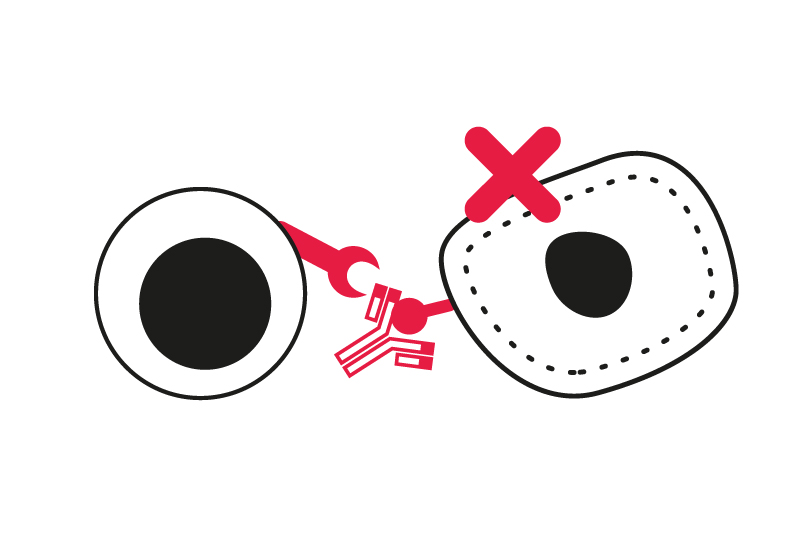 T cell activation & immune checkpoint inhibition killing assays