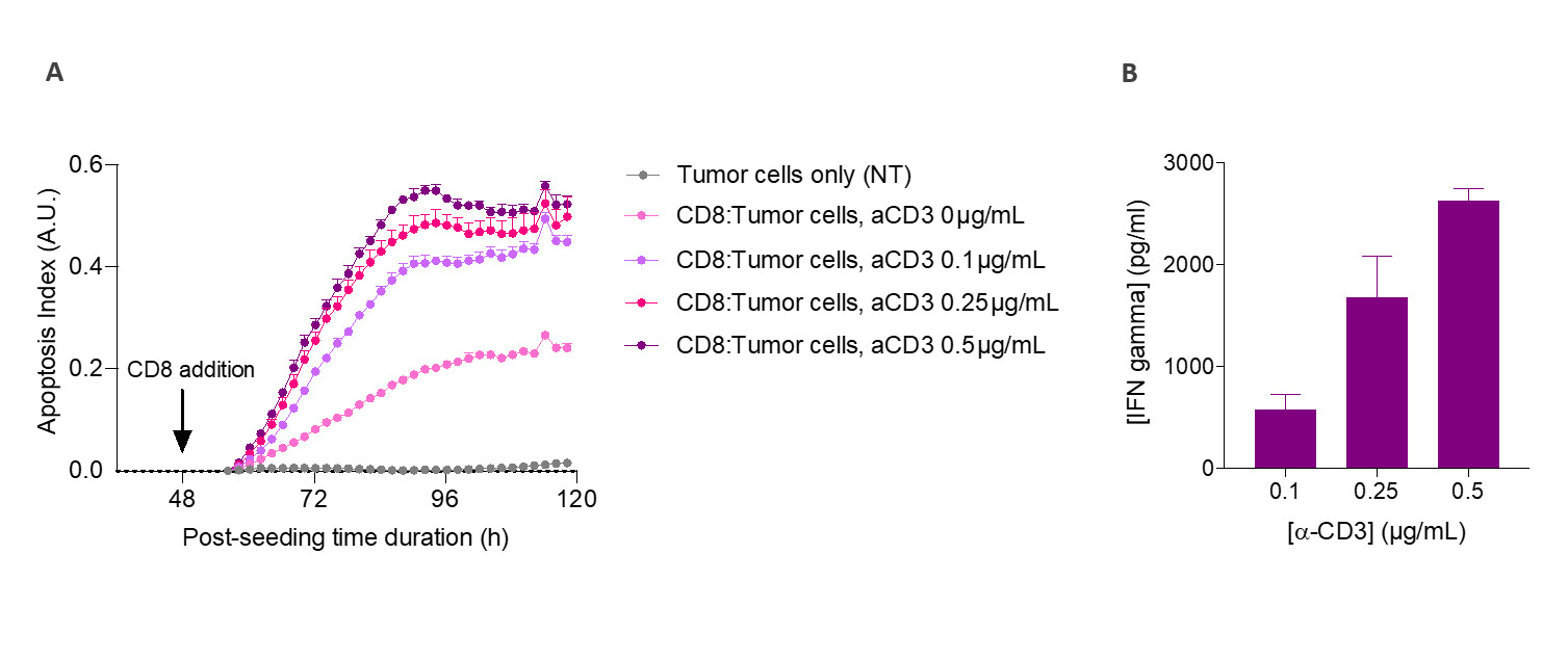 T cell killing assay CRO in vitro screening CD8 T-A375 melanoma cells