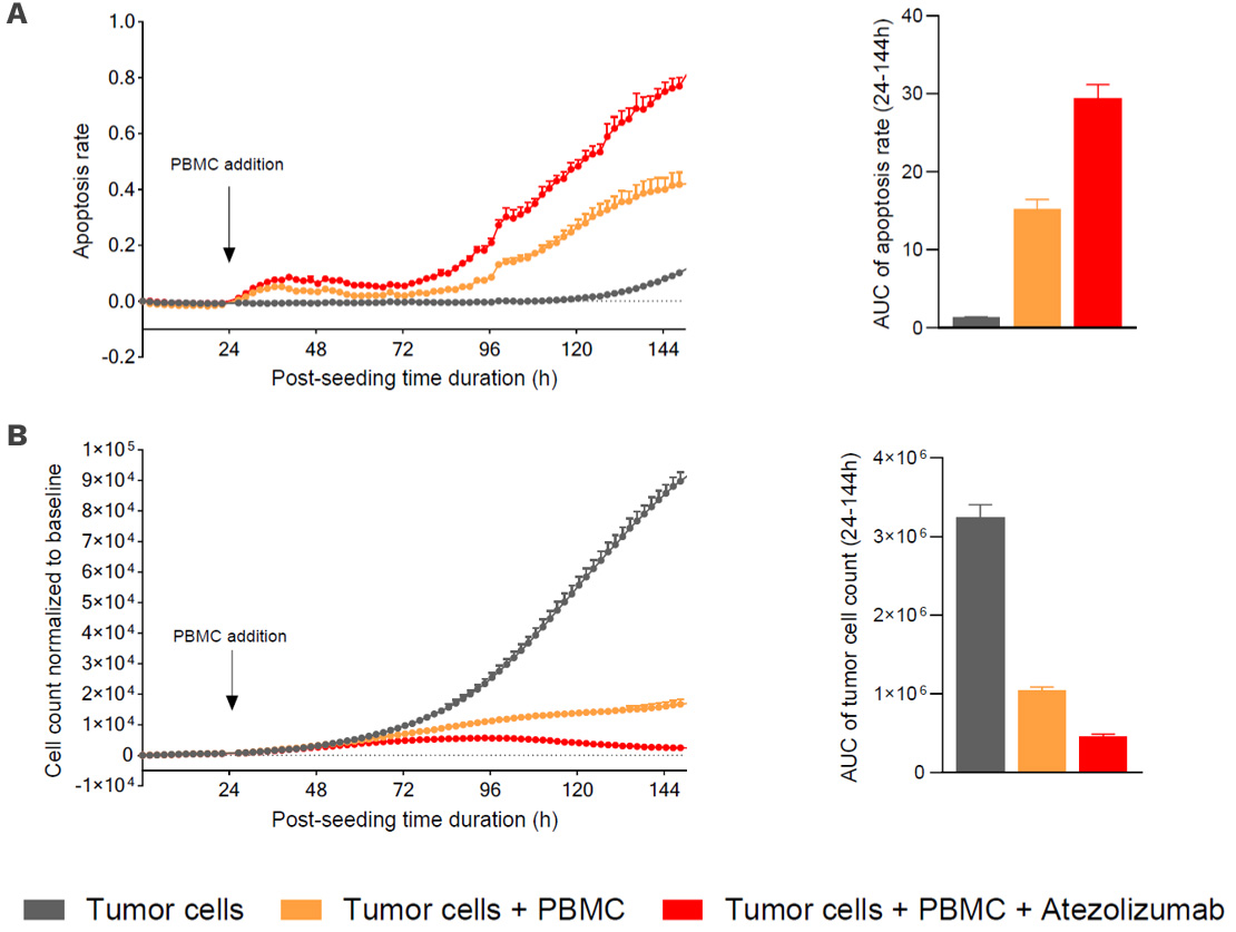 immune checkpoint blockade PBMC tumor killing assay