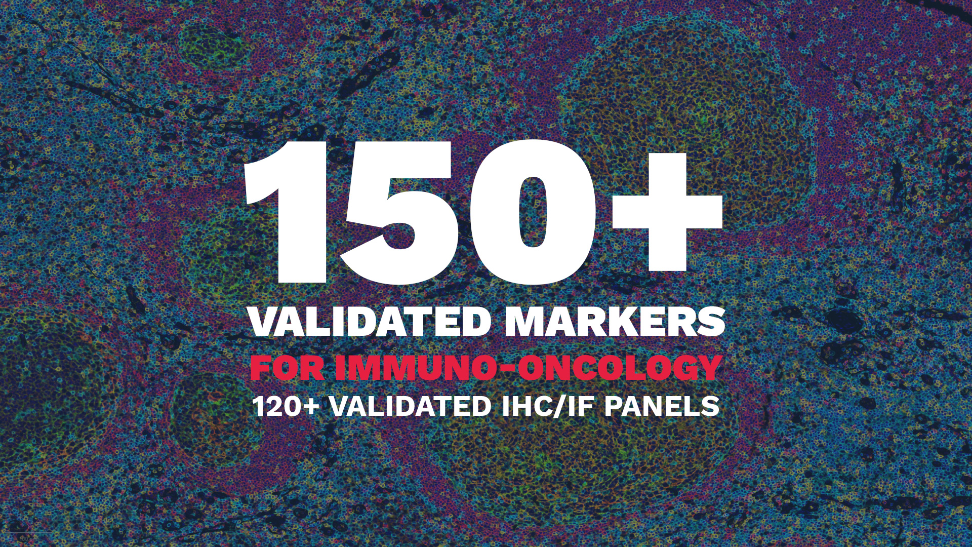 Histology services CRO immuno-oncology validated markers panels IHC IHF