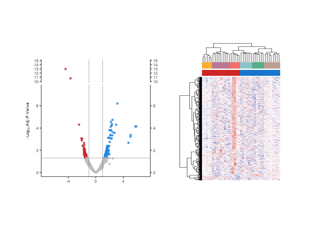 Spatial biomarker analysis CRO services