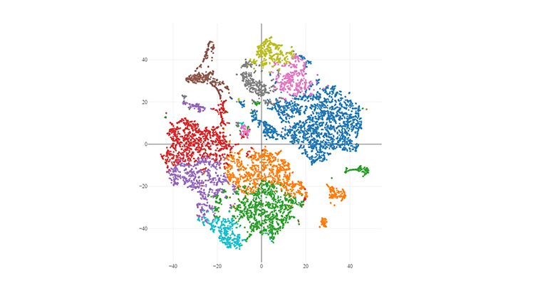 single-cell transcriptomics tumor immune cells CRO services