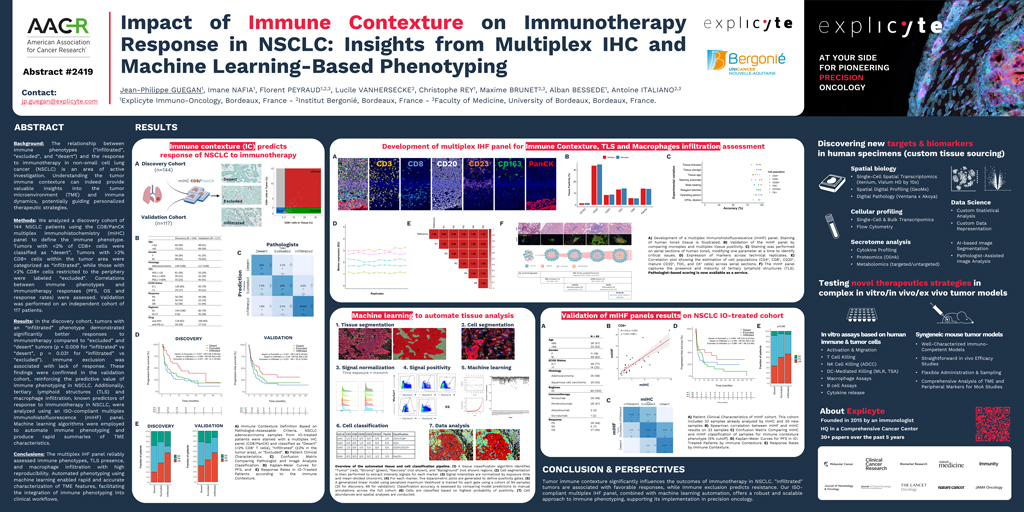 Impact of Immune Contexture on Immunotherapy Response in NSCLC: Insights from Multiplex IHC and Machine Learning-Based Phenotyping