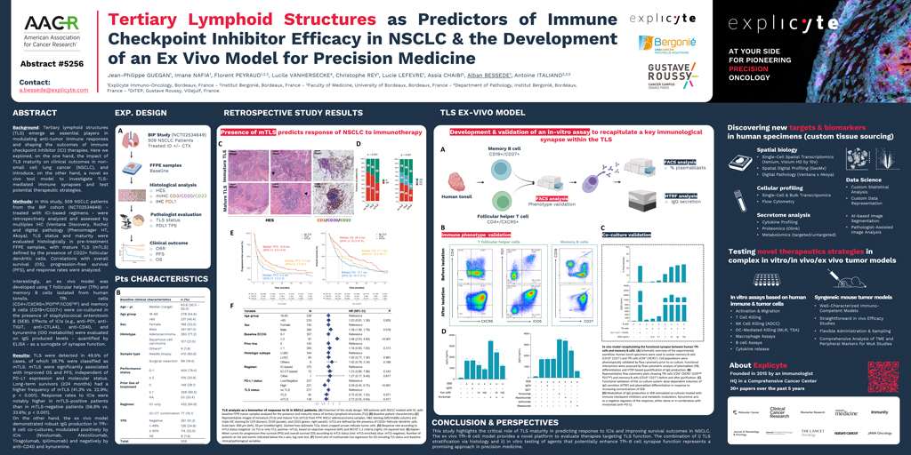 Tertiary Lymphoid Structures as Predictors of Immune Checkpoint Inhibitor Efficacy in NSCLC & the Development of an Ex Vivo Model for Precision Medicine