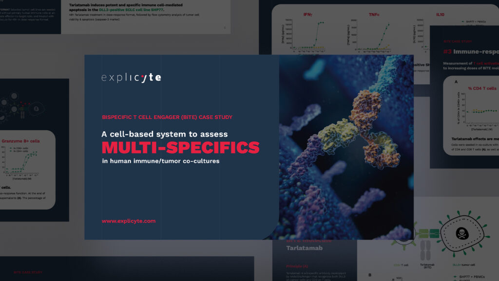 Bispecific T Cell Engagers - In Vitro Case Study