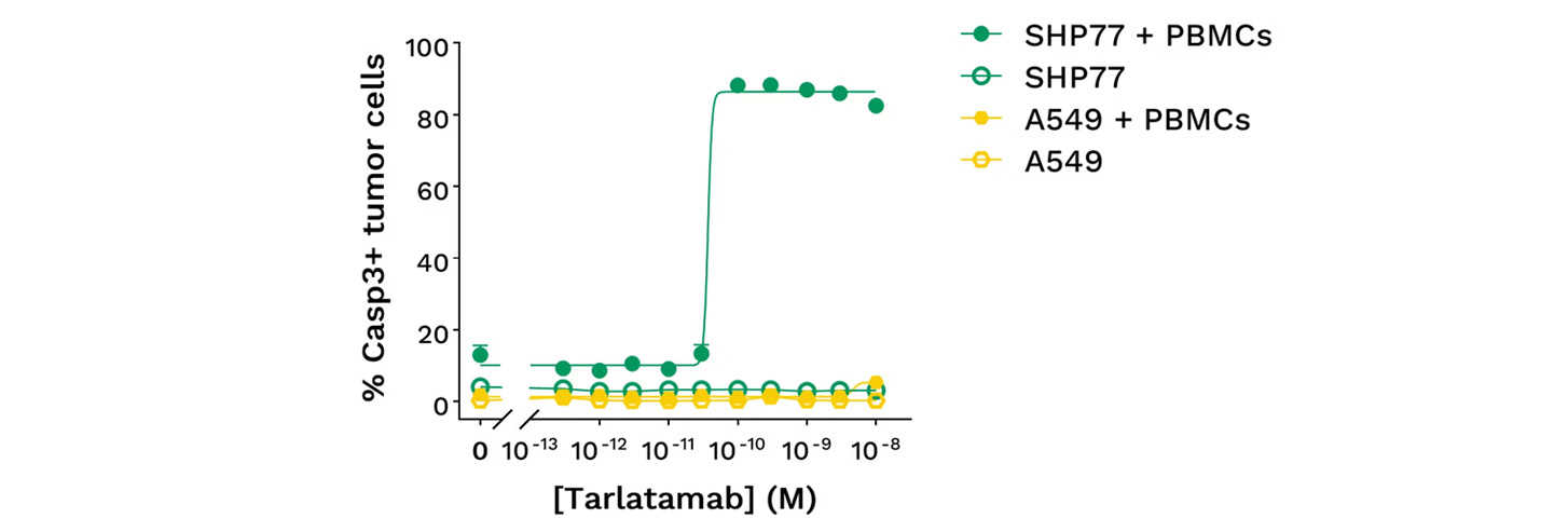 Case study cell based assay bispecific T cell engager CRO services