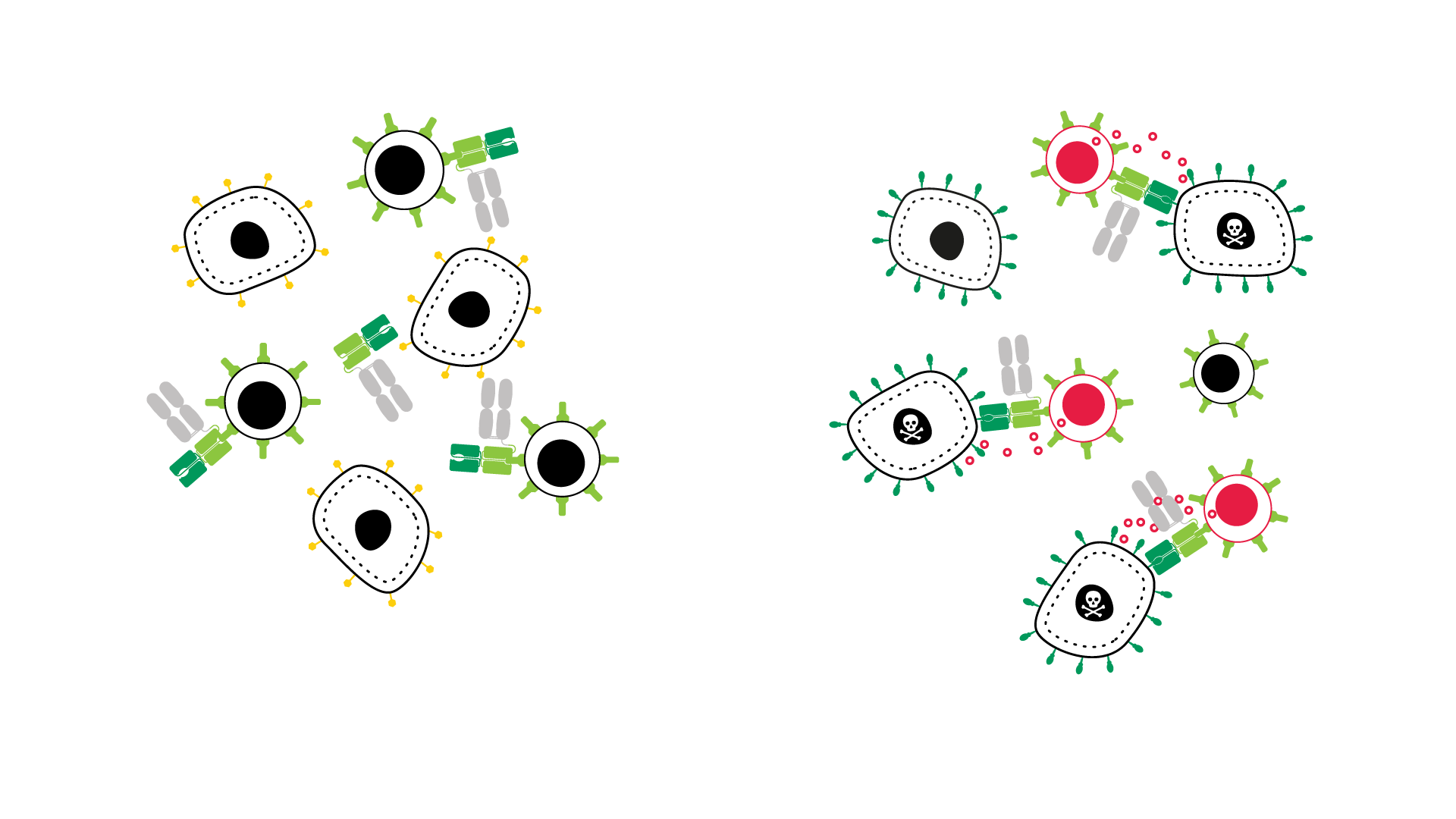 t cell engager tumor killing assay