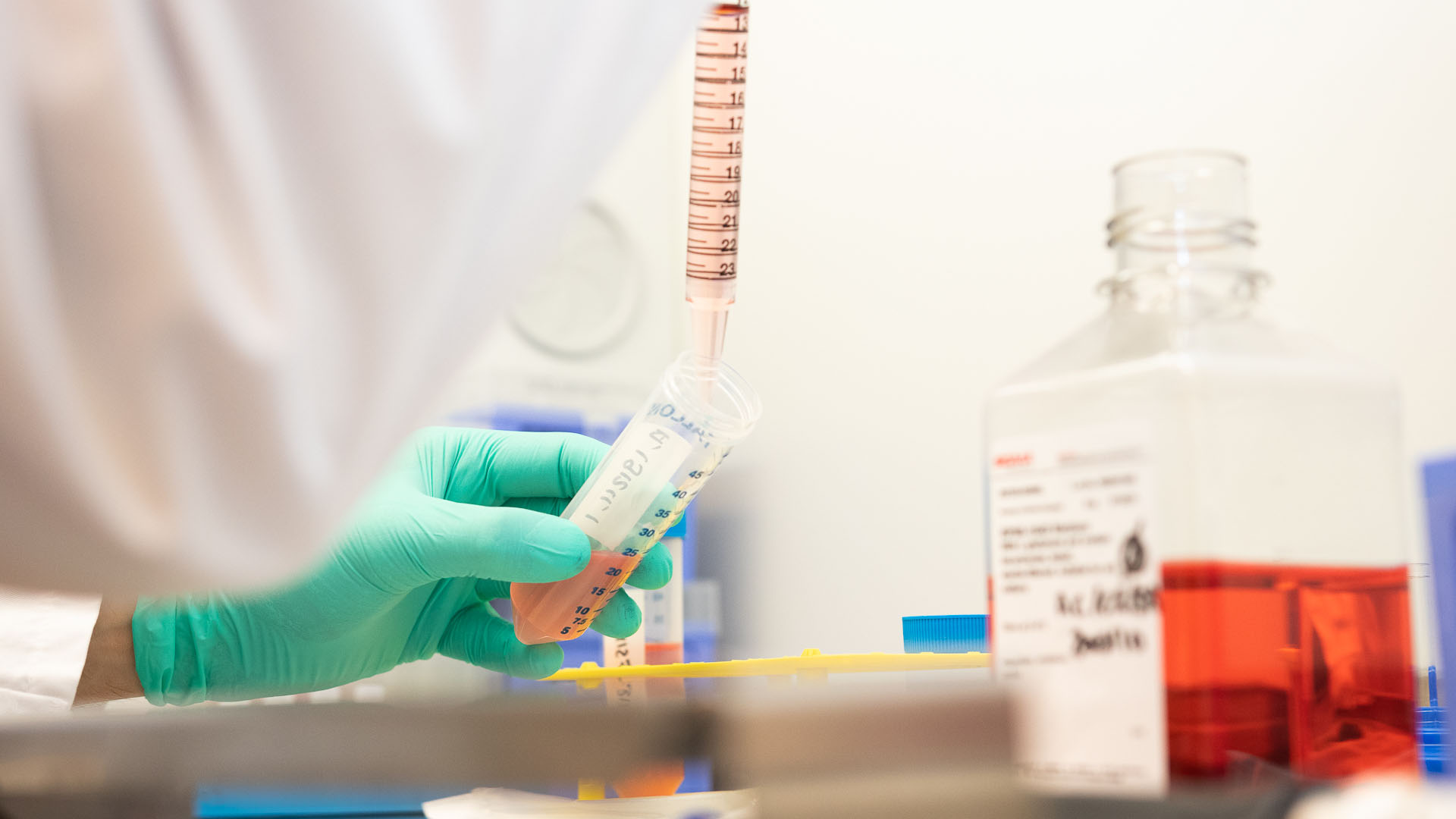 In vitro Lab Technician in Cancer Research
