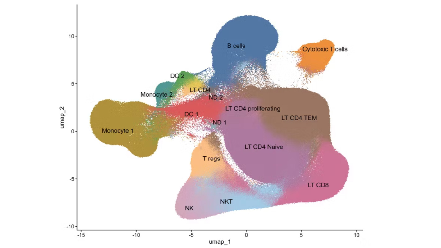 Visium HD custom data analysis services CRO data science