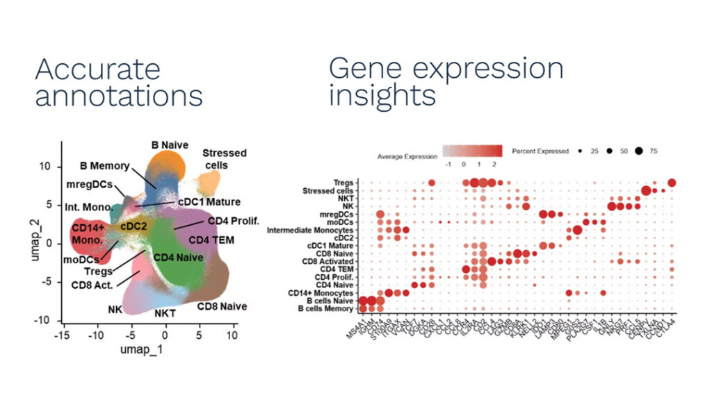 Cell phenotyping and gene expression with Xenium platform based on STAMP Cell phenotyping and gene expression with Xenium platform based on STAMP