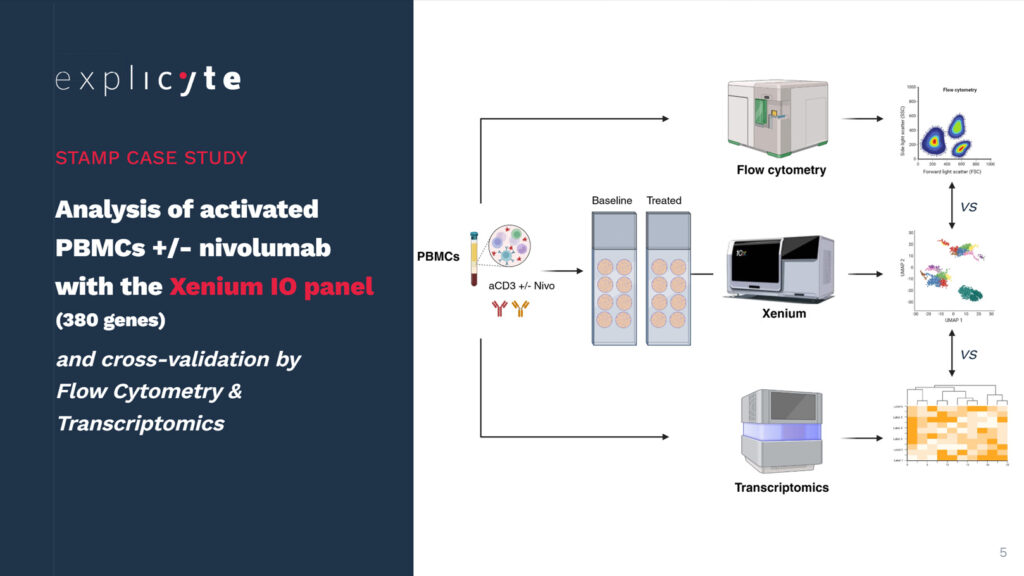 Xenium-STAMP case study: Analysis of activated PBMCs +/- nivolumab with the Xenium IO panel (380 genes)