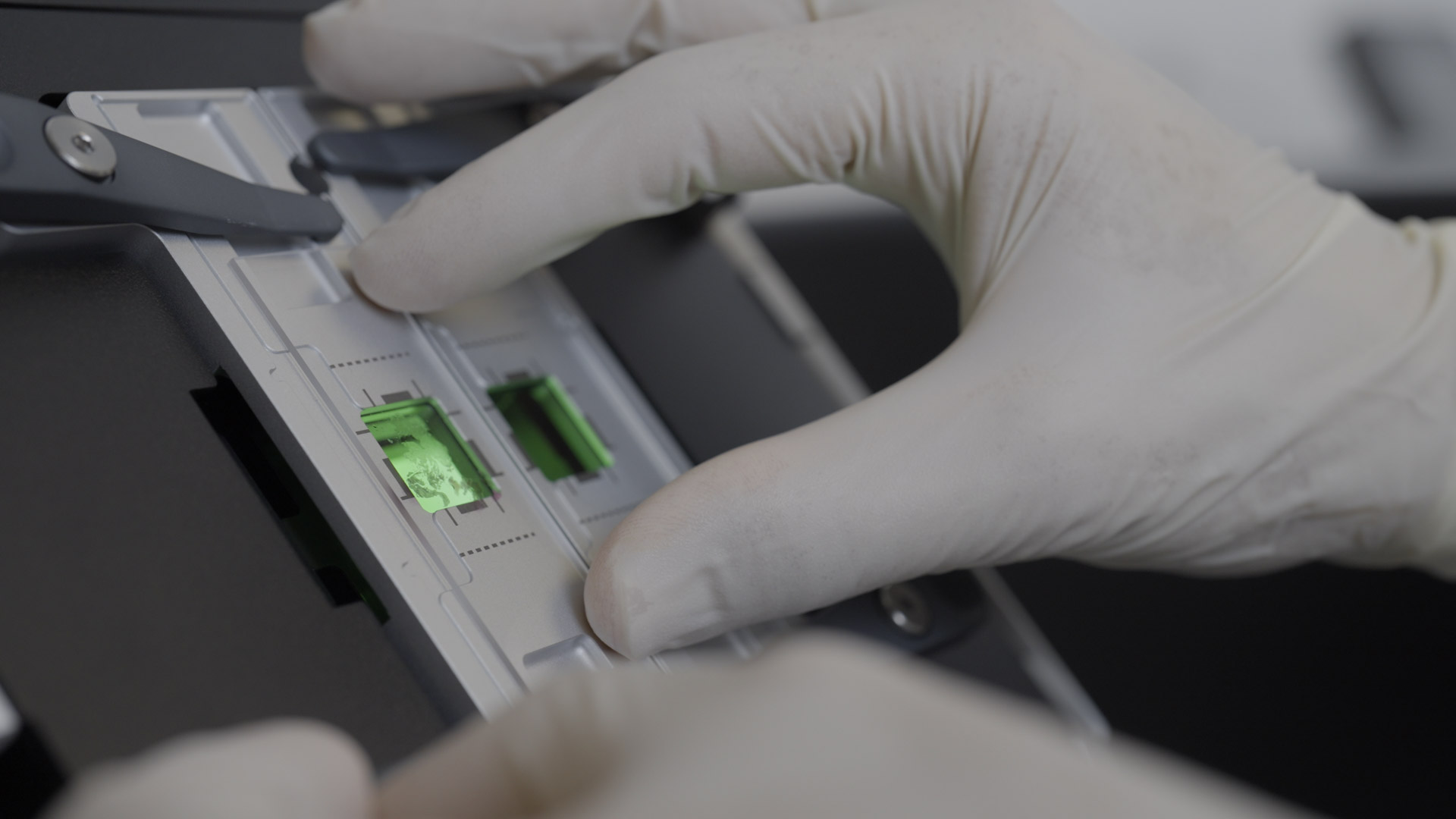 Visium HD Service Provider 10x FFPE tumor specimen oncology CRO