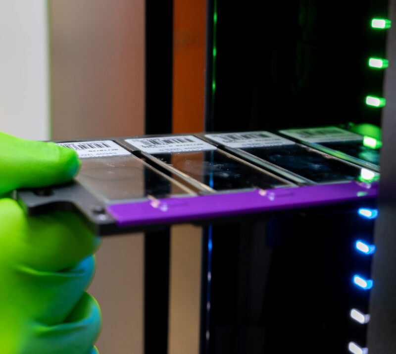 Cancer Target Expression Profiling in Tumor and Normal Tissues