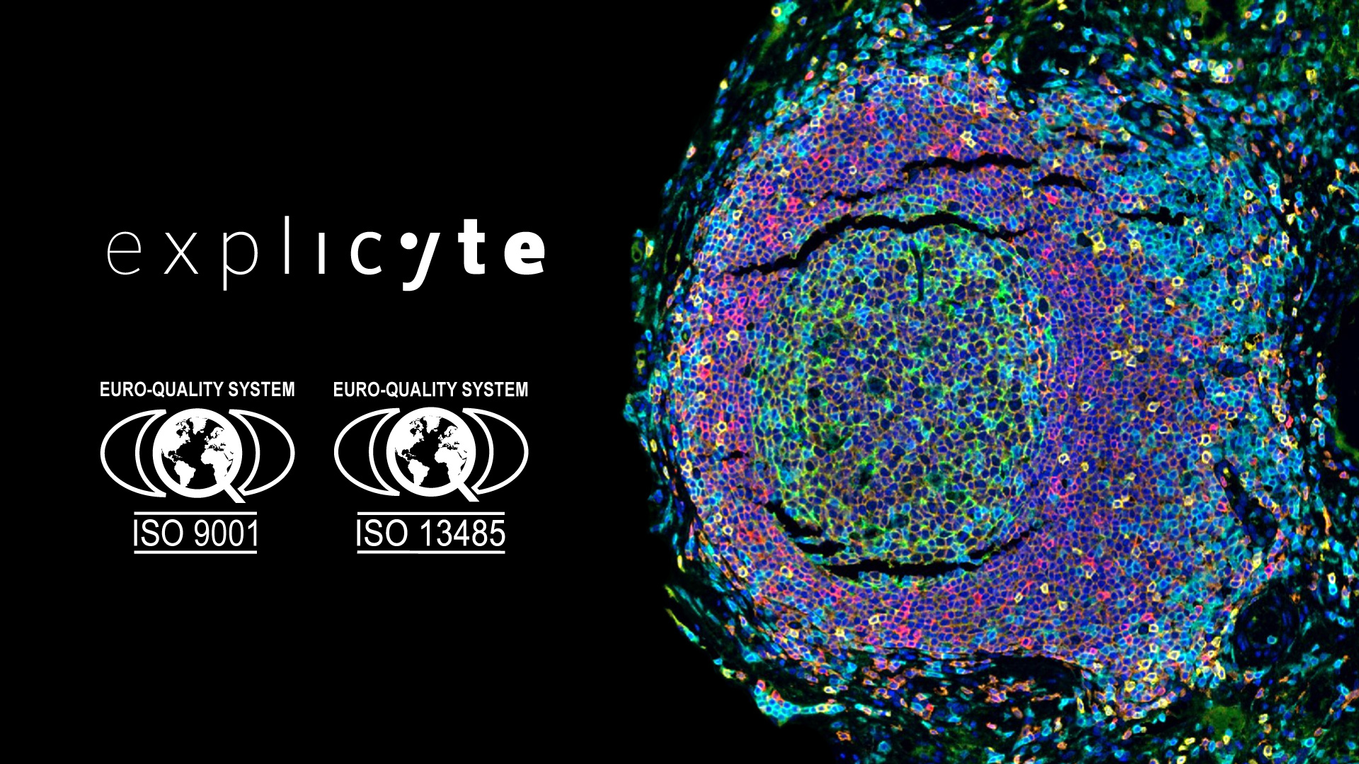 Explicyte earns ISO 13485 and ISO 9001 certifications for clinical tissue biomarker development & testing in oncology trials Explicyte ISO certification IHC IHF clinical biomarkers