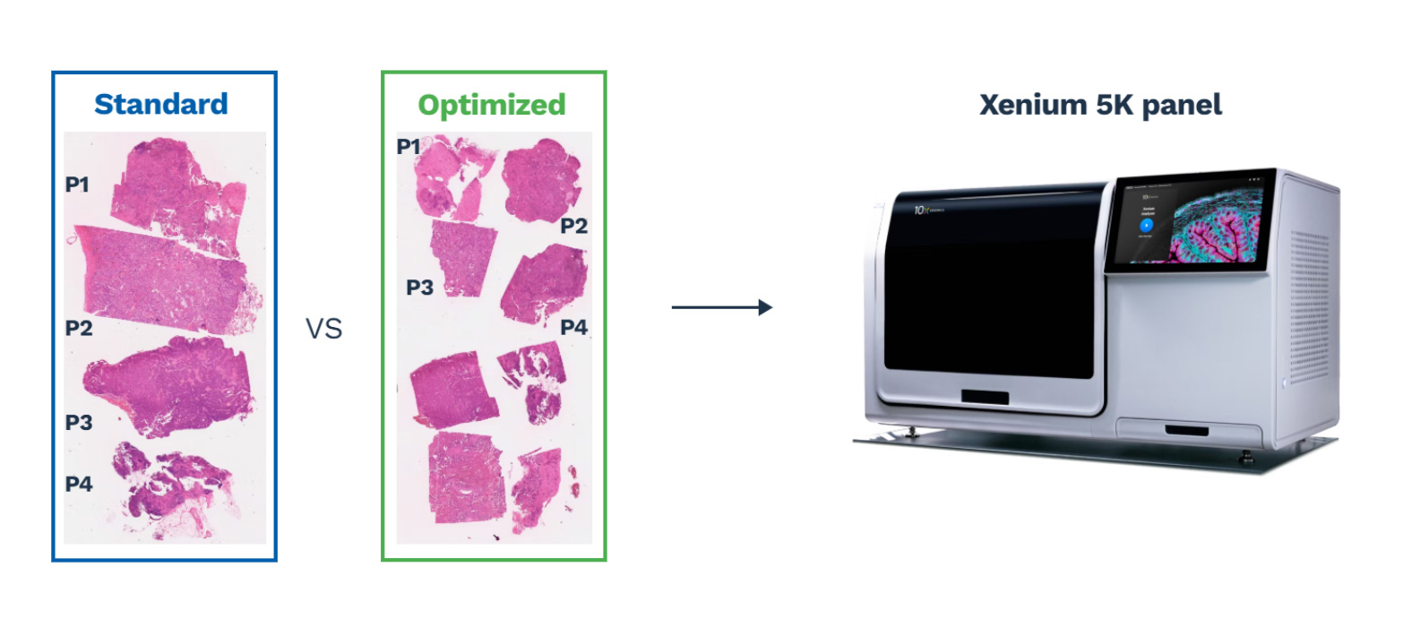 oncology target identification single-cell spatial transcriptomics CRO oncology target identification single-cell spatial transcriptomics CRO