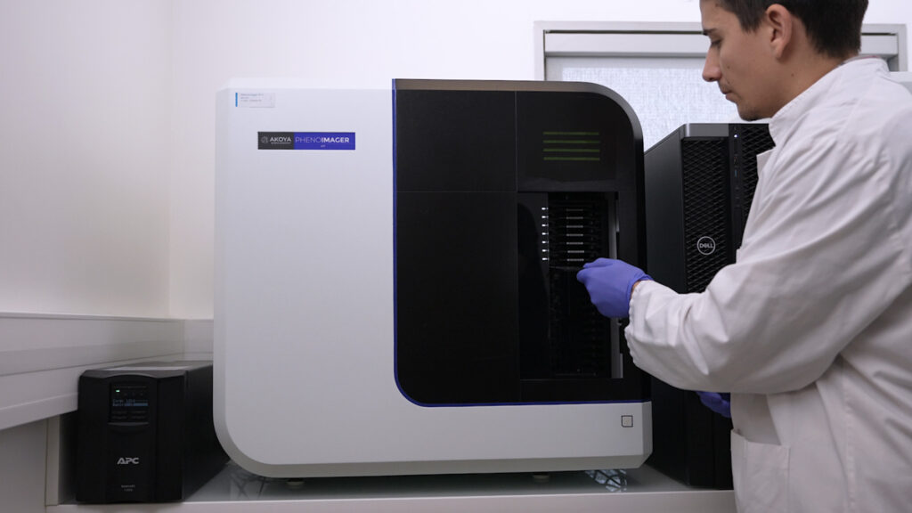 target-expression-profiling-IHC-IF-digital-pathology-FFPE-tumors target expression profiling IHC IF digital pathology FFPE tumors