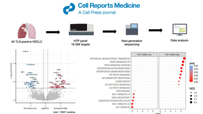Bulk RNA-seq dataset analysis service Bulk RNA-seq dataset analysis service