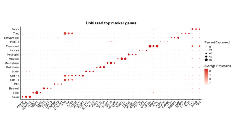 Chromium X scRNA-seq Bioinformatics and Data Interpretation Chromium X scRNA-seq Bioinformatics and Data Interpretation