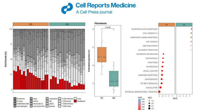 Digital spatial profiling dataset analysis bioinformaticservices Digital spatial profiling dataset analysis bioinformaticservices