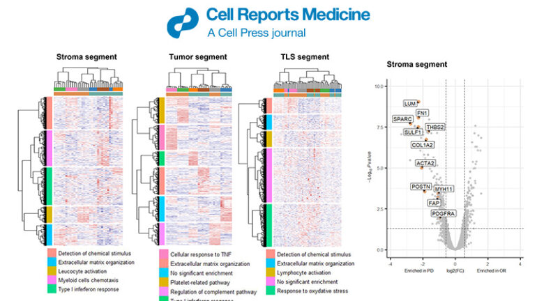 FFPE spatial transcriptomic dataset analysis services