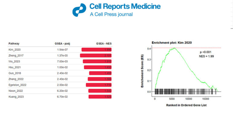 RNA-seq bioinformatic dataset analysis consulting RNA-seq bioinformatic dataset analysis consulting