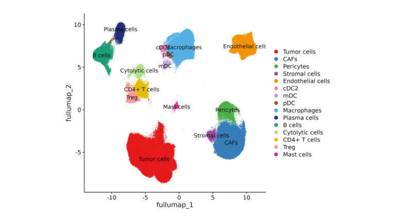 Xenium Single-Cell Transcriptomic Data Analysis Xenium Single-Cell Transcriptomic Data Analysis