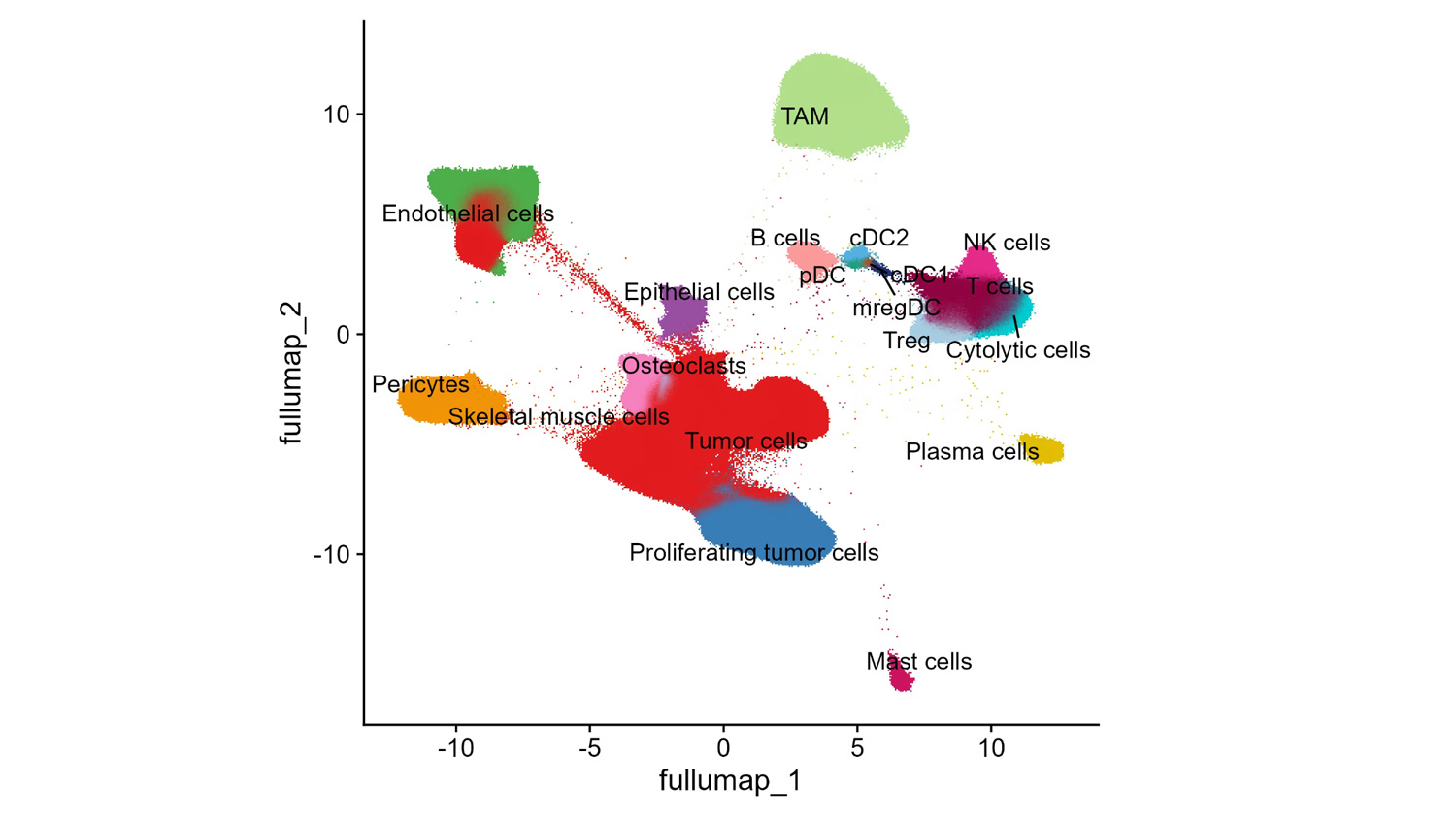 10x Genomics Data Analysis Services (Chromium X, Visium HD & Xenium) Xenium dataset preprocessing workflow after