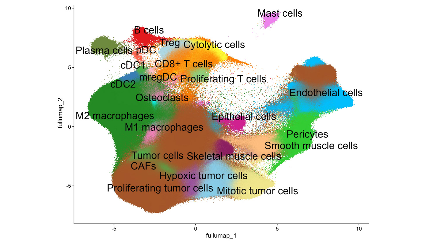 10x Genomics Data Analysis Services (Chromium X, Visium HD & Xenium) Xenium dataset preprocessing workflow before