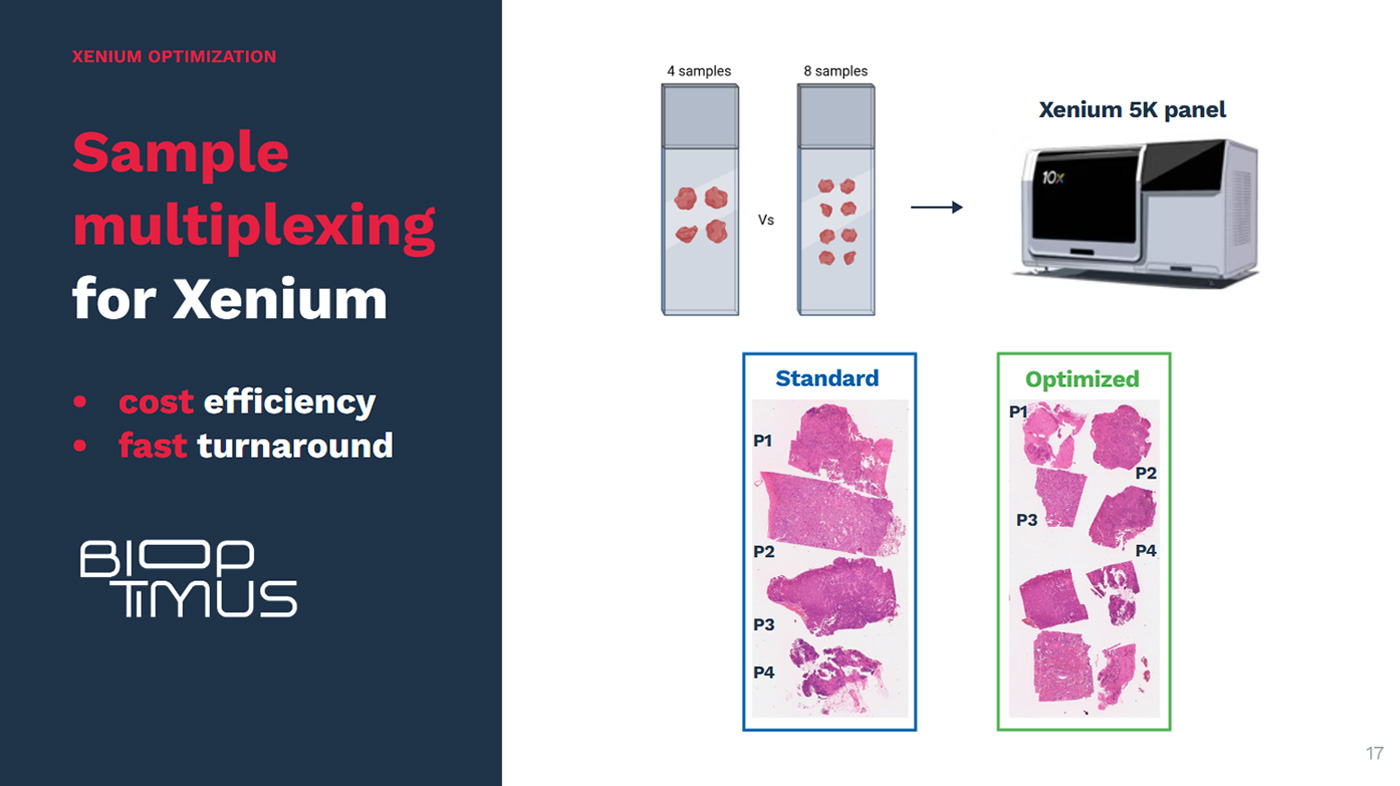 Explicyte Immuno-Oncology I Cancer Immunotherapy CRO Services Sample multiplexing Xenium cost efficiency fast turnaround